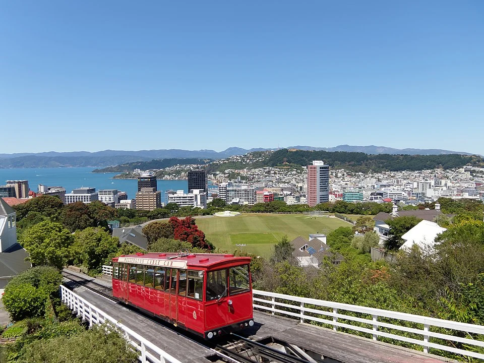 Debt Collection Wellington